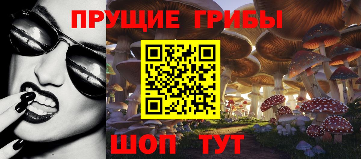 Псилоцибиновые грибы прущие грибы  Вход с VPN  Каспийск 