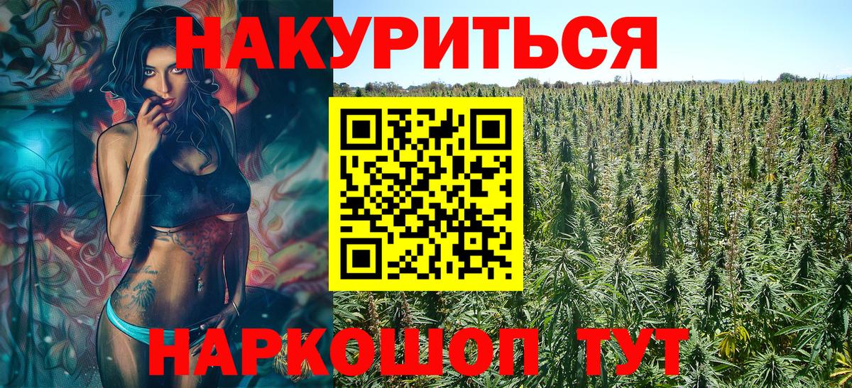 Конопля сатива Каспийск